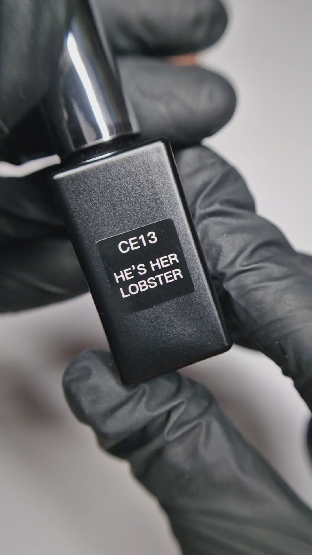 CE13 Er ist ihr Hummer - Mondlicht-Katzenauge