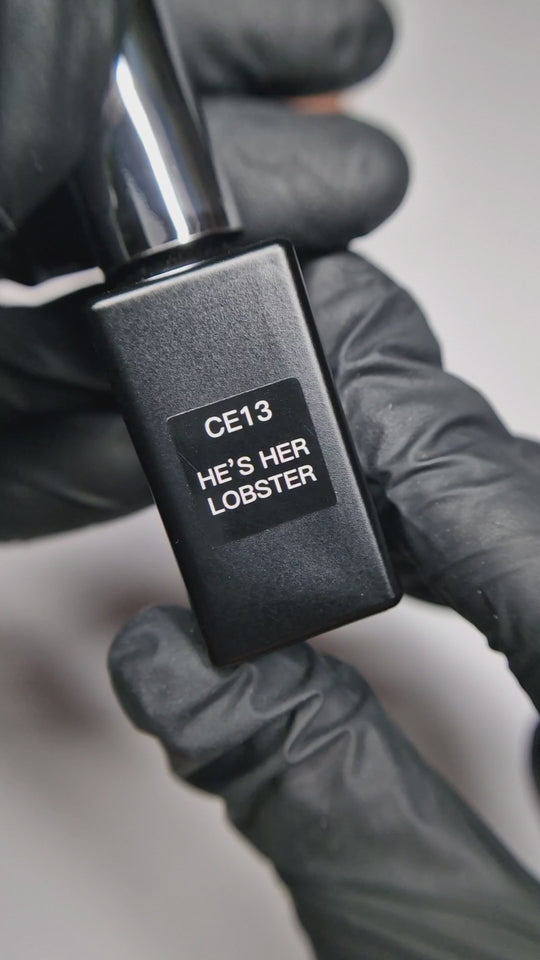 CE13 Er ist ihr Hummer - Mondlicht-Katzenauge